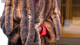Grace Jones Lets The (Hopefully Faux) Fur Fly